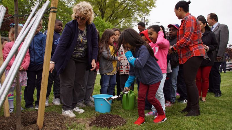 6 Ways to Celebrate Arbor Day in a Time of Social Distancing