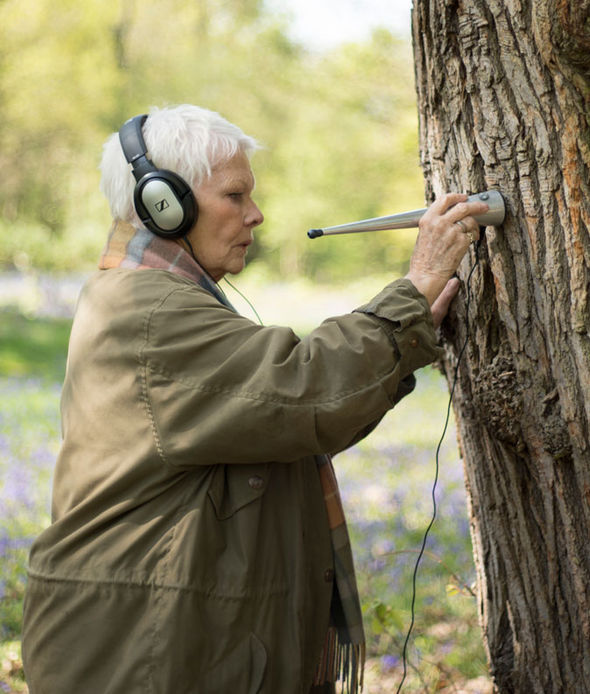 A Lifelong Passion for Trees