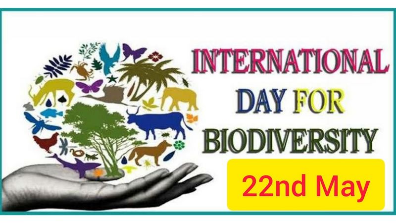 Biodiversity Day 2023 Trees are part of the solution